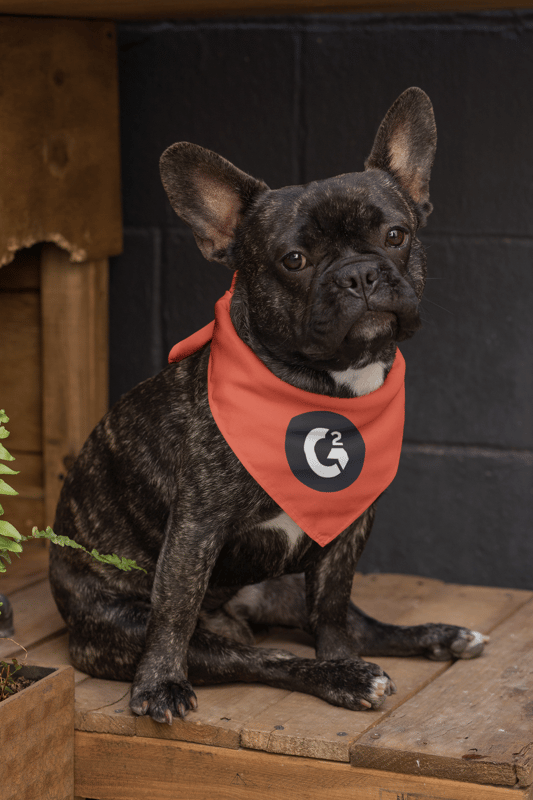 G2 Pet Bandana